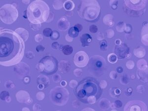decoris Purple Bubbles II